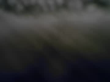 Sex cam beauty siraustin24709227