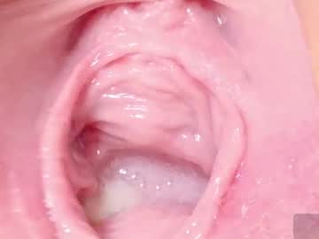 Sex cam beauty orchidekitty