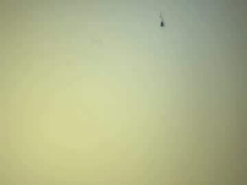 webcam man edgingandgooning capture image #146701