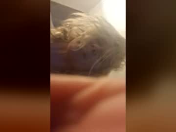 webcam girl sexysadiey67 capture image #210434